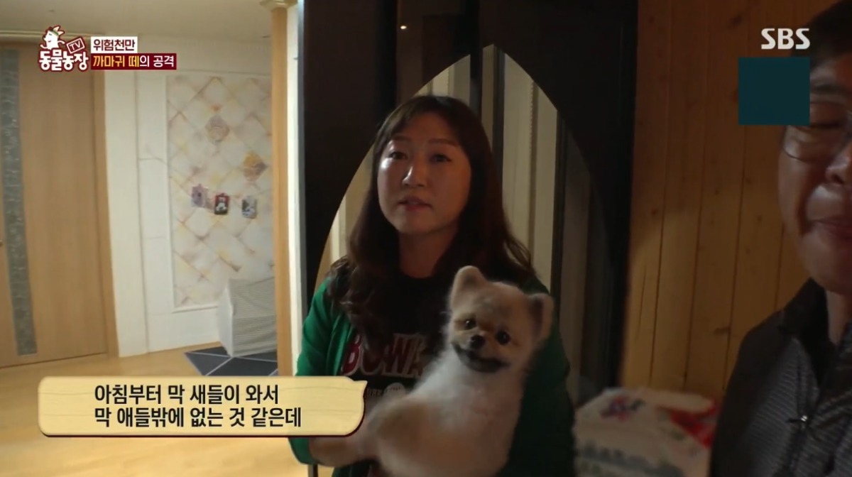 동물농장 저번주 레전드 회차 수리부엉이 가족과 둘째 이야기.jpg | 인스티즈