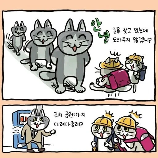 '좋았쓰'고양이 근황 | 인스티즈