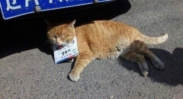  근무시간에 누워있는 공무원