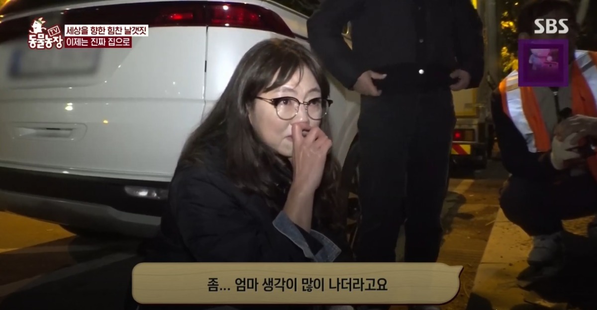 동물농장 저번주 레전드 회차 수리부엉이 가족과 둘째 이야기.jpg | 인스티즈