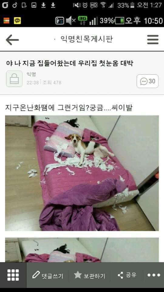 시바 화장실인데 옆칸 사람 울고 있는데 나 정말 ㅅㅅ하면서 | 인스티즈