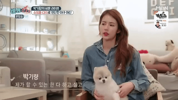  엄청난 수준의 훈련을 받은 강아지