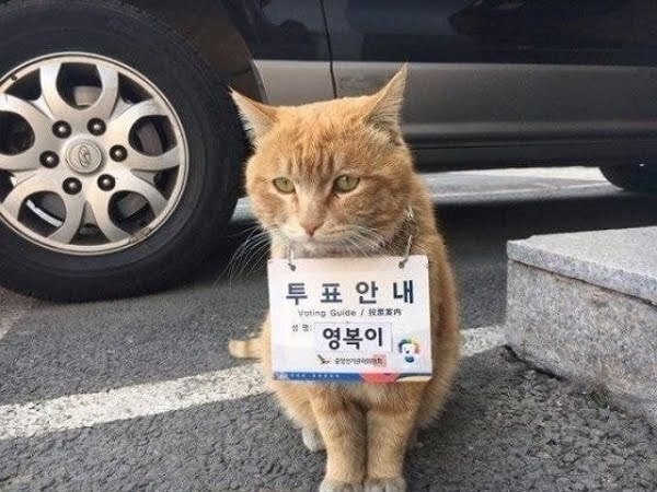 근무시간에 누워있는 공무원 | 인스티즈