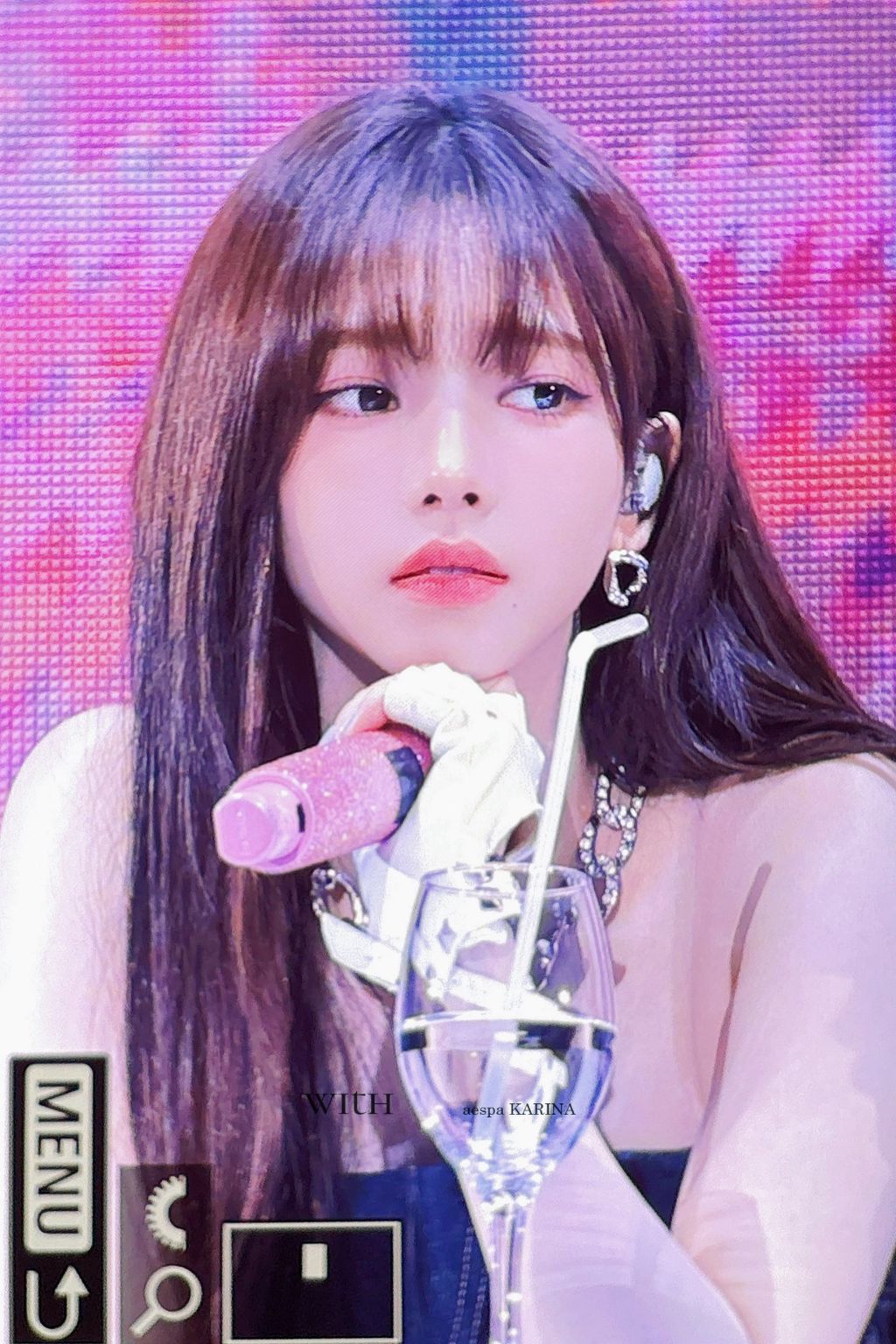  일본에 있는 카리나