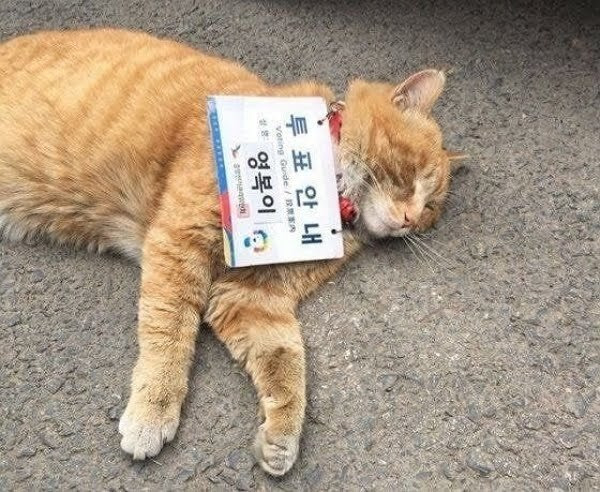 근무시간에 누워있는 공무원 | 인스티즈