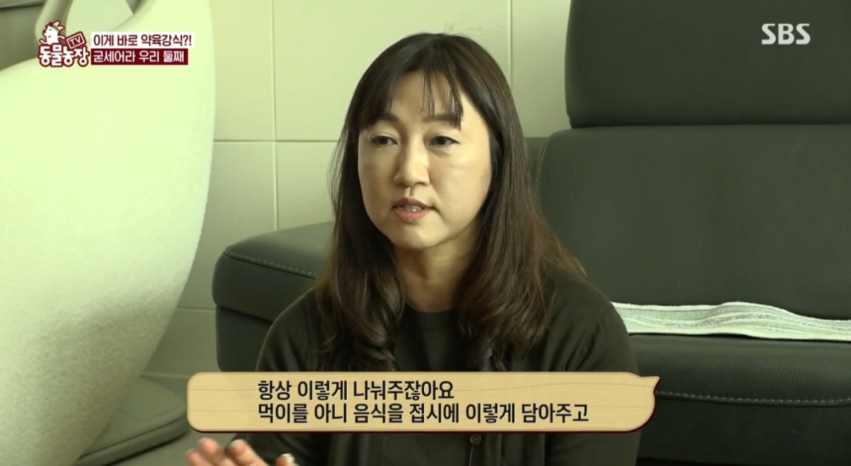 동물농장 저번주 레전드 회차 수리부엉이 가족과 둘째 이야기.jpg | 인스티즈