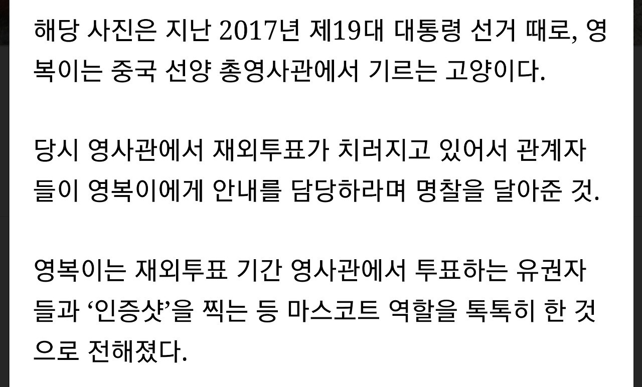 근무시간에 누워있는 공무원 | 인스티즈