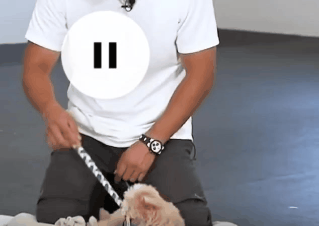 크면서 맹견이 될까봐 강형욱을 찾아온 강아지 | 인스티즈