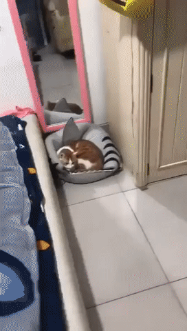  야야 잠만 비켜봐 .gif