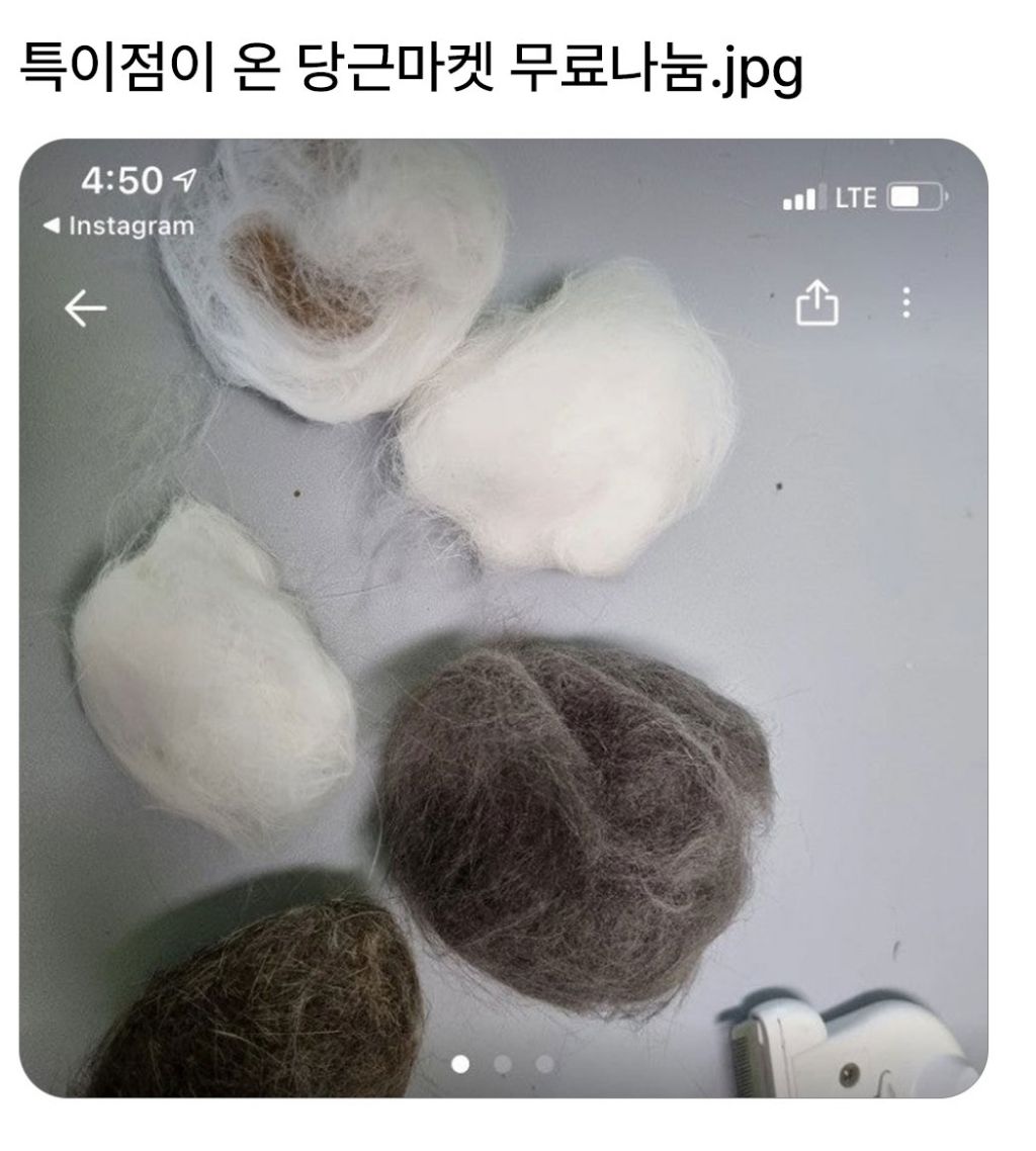  특이점이 온 당근마켓 무료나눔