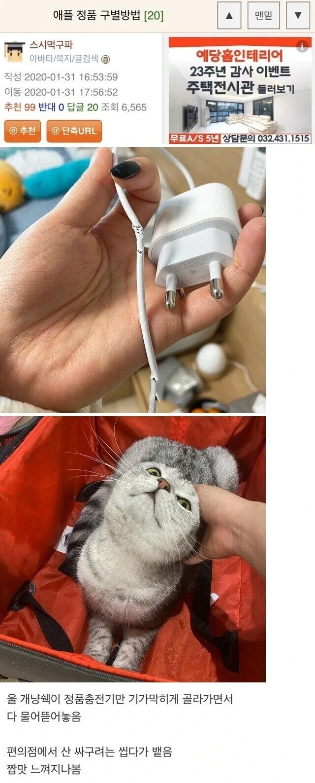  애플 충전기 정품 구별법