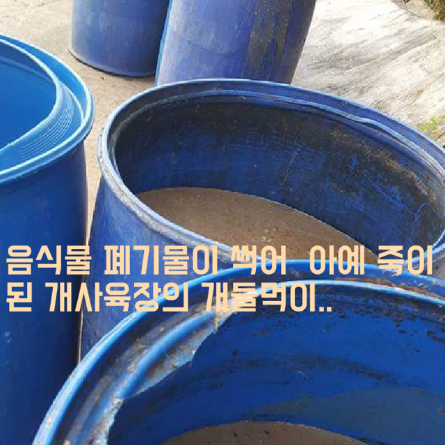 우리나라 음식쓰레기의 43%가 재활용 되는 곳 | 인스티즈