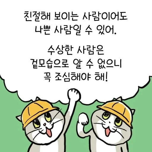 '좋았쓰'고양이 근황 | 인스티즈