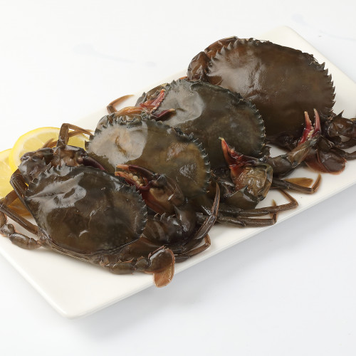 롯데리아에 게 한마리가 통째로 들어간 버거가 나왔대!! 짱맛이겠다!!! | 인스티즈