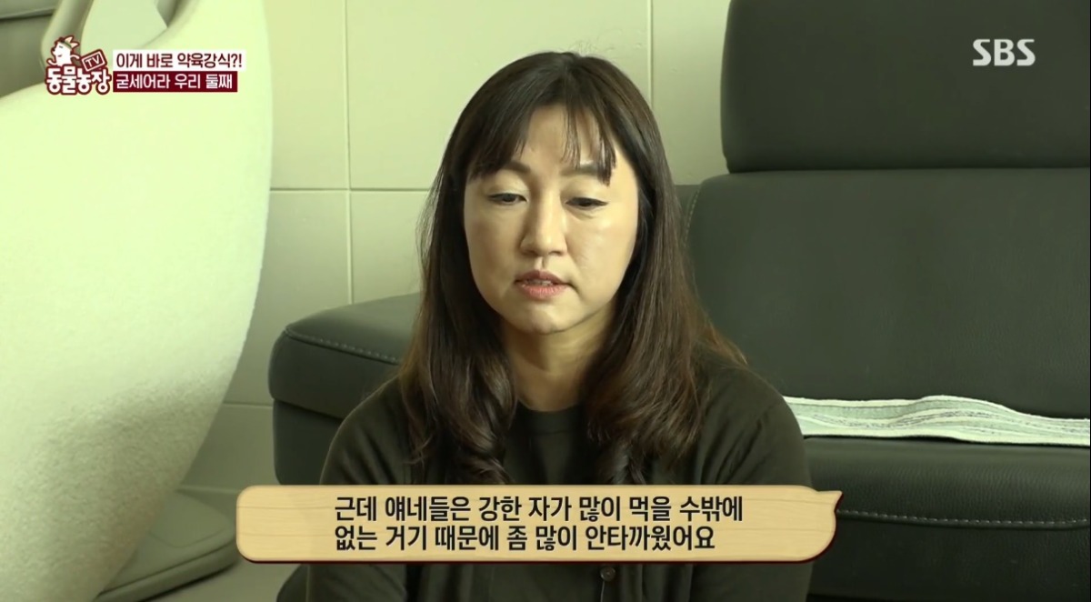 동물농장 저번주 레전드 회차 수리부엉이 가족과 둘째 이야기.jpg | 인스티즈