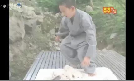  계곡물에 빠진 강아지를 본 동자승의 반응1
