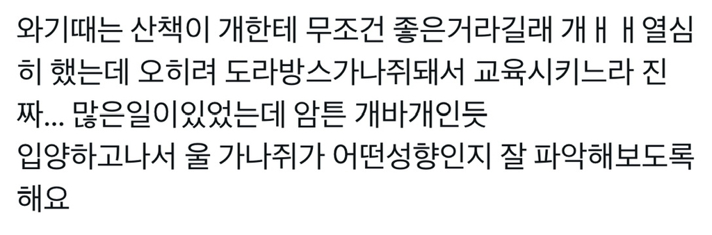 진돗개 특: 제가 집사에게 맞출게요 함 | 인스티즈