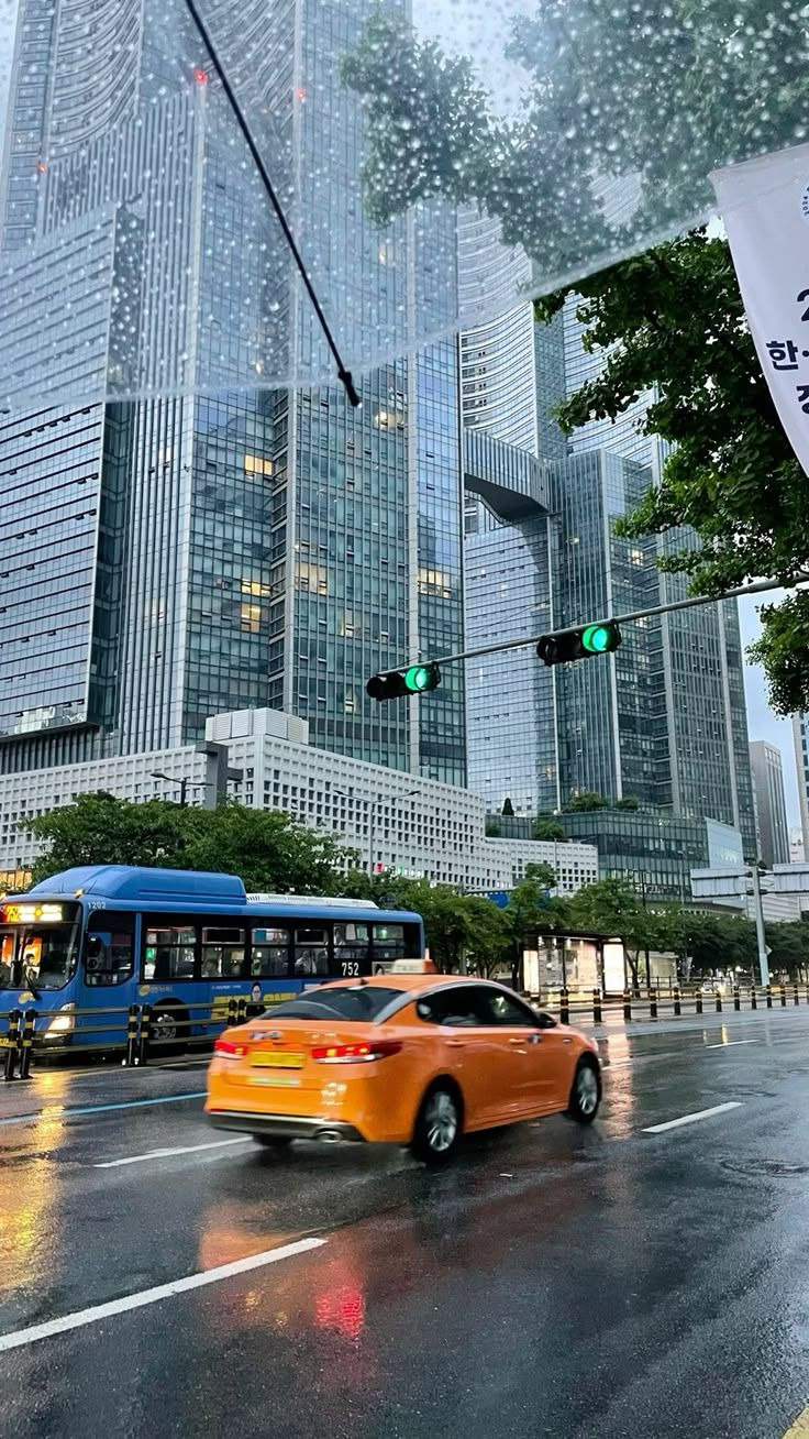 머나먼 길을 찾아 여기에 꿈을 찾아 여기에 | 인스티즈