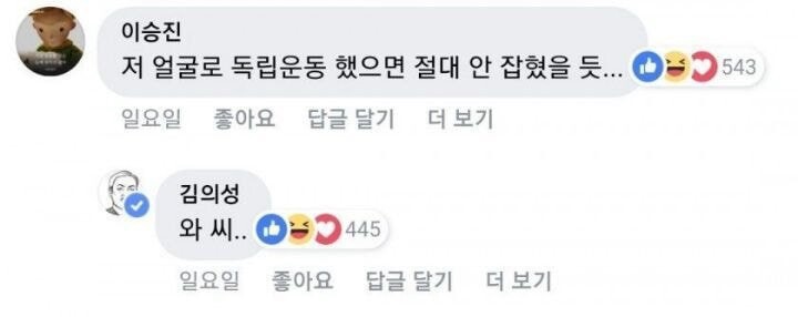 독립운동해도 절대 안잡힐 얼굴.jpg | 인스티즈