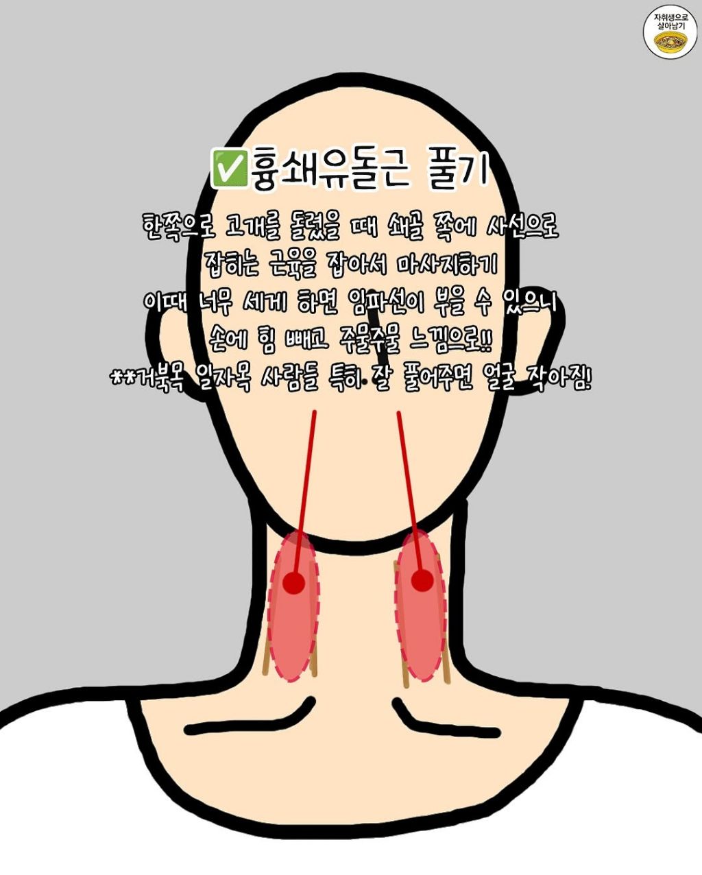 잘 풀어주면 진짜 얼굴 작아진다는 이곳들 | 인스티즈
