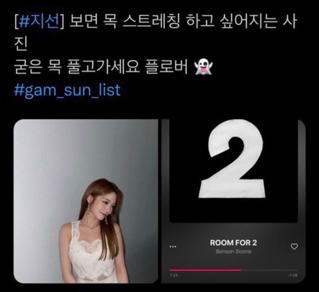 대선기간 중 본인의 정치성향 티낸 아이돌
