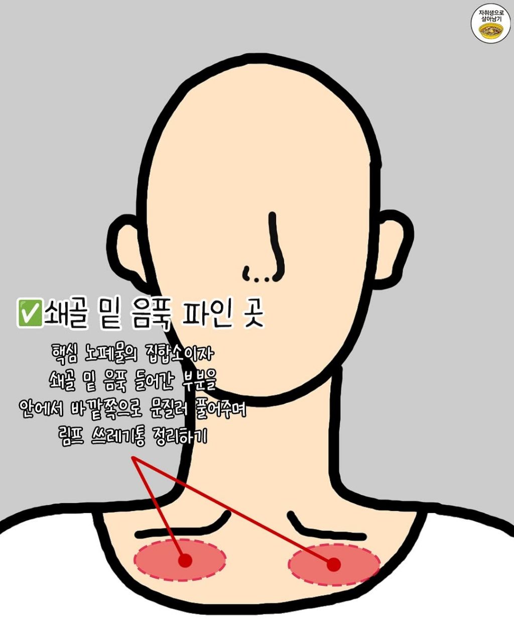 잘 풀어주면 진짜 얼굴 작아진다는 이곳들 | 인스티즈