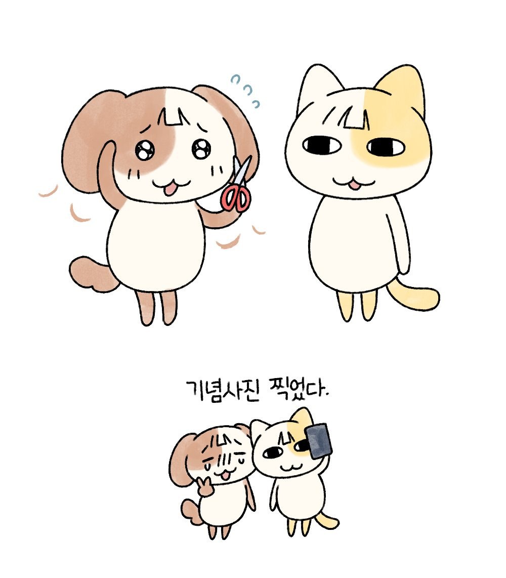 묘냥이와 멍구 (묘냥이 머리 자른 날) | 인스티즈