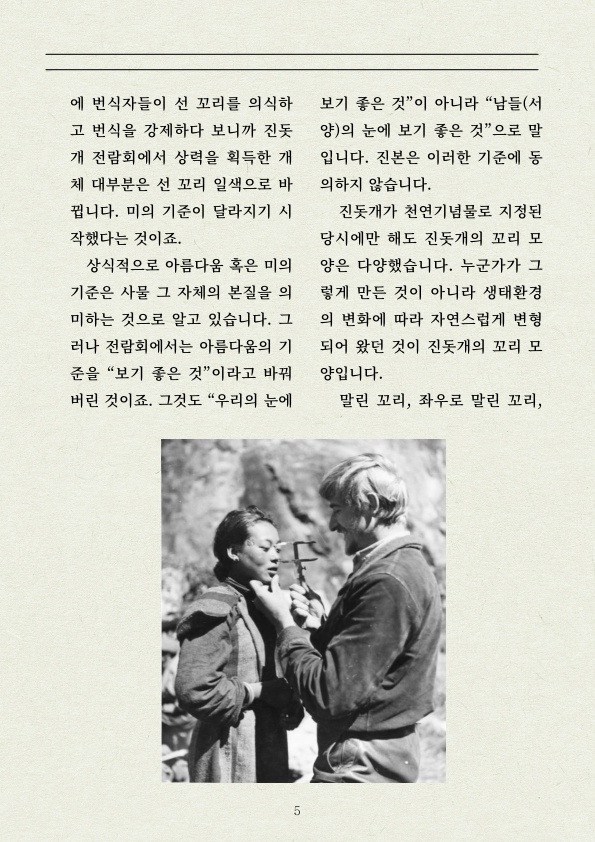 진돗개 꼬리 이걸로 정리한다 | 인스티즈