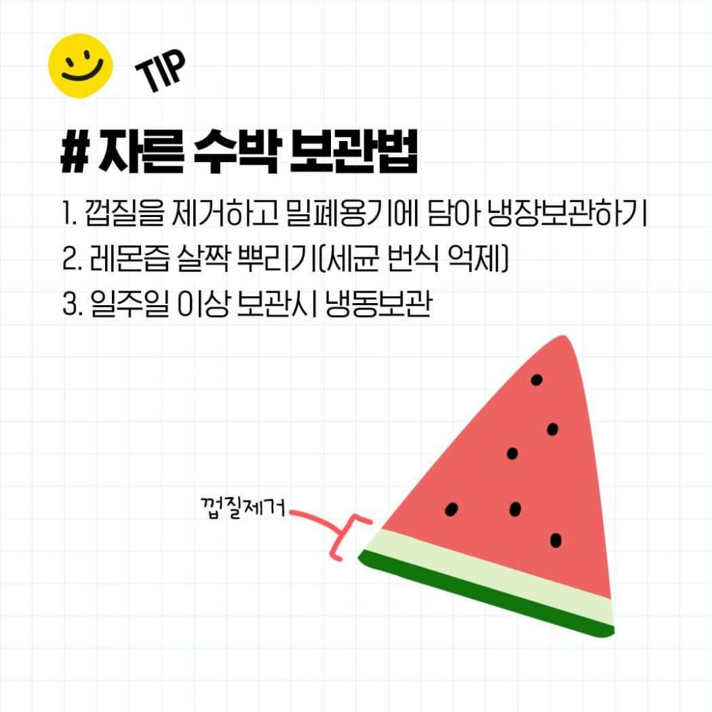 꿀수박 고르는 법 & 보관법 | 인스티즈