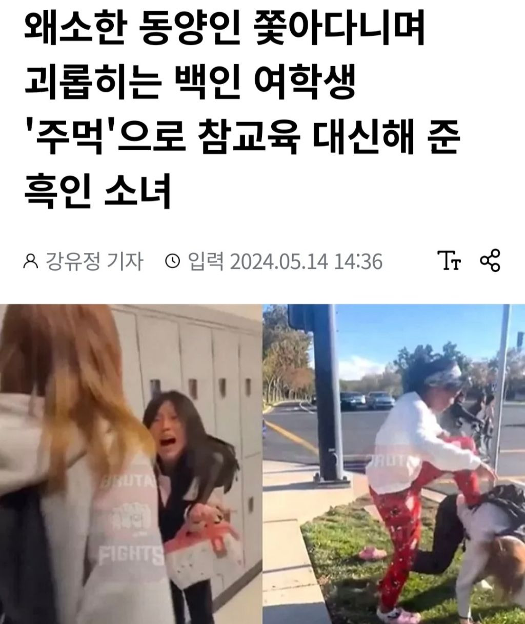 왜소한 동양인 쫓아다니며 괴롭히는 백인 여학생 '주먹'으로 참교육 대신해 준 흑인소녀