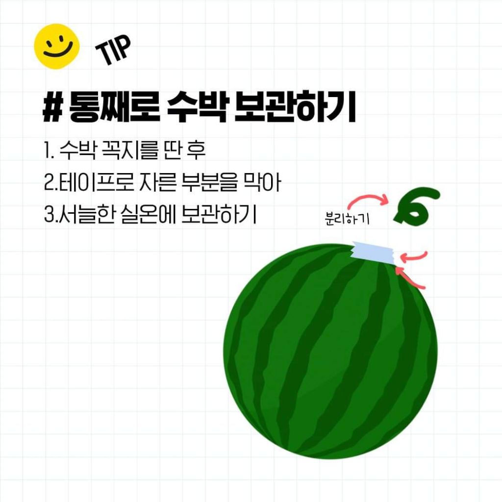 꿀수박 고르는 법 & 보관법 | 인스티즈