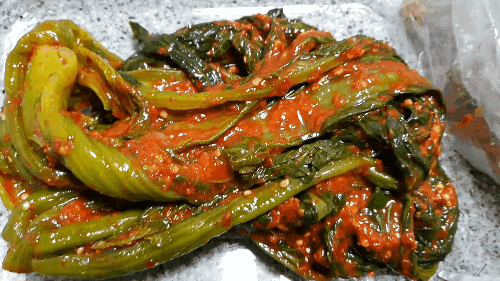 여수 먹거리 1티어 | 인스티즈