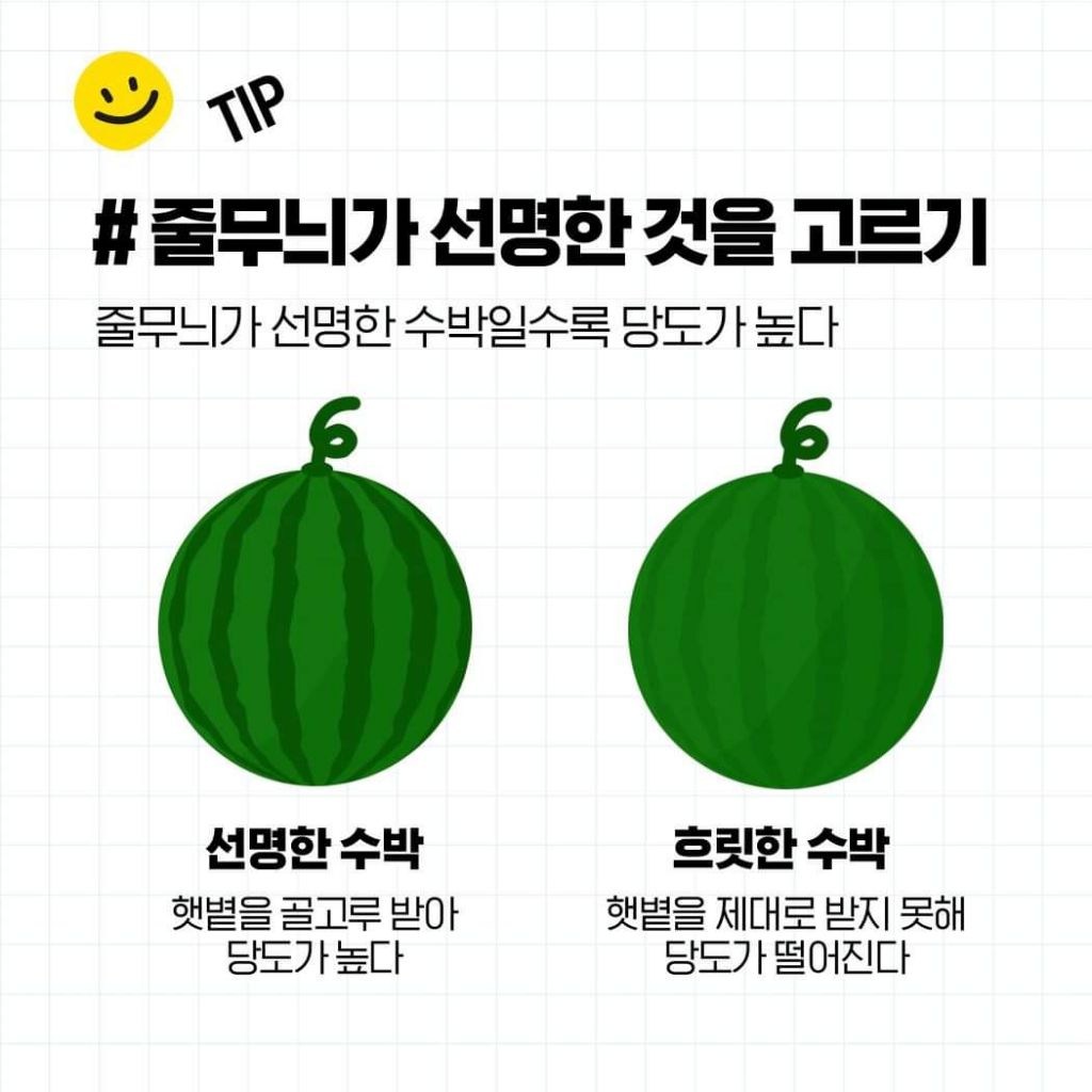 꿀수박 고르는 법 & 보관법 | 인스티즈
