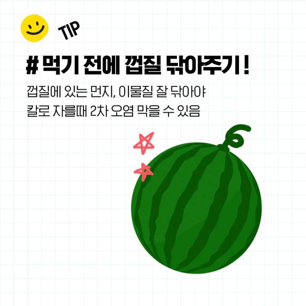 꿀수박 고르는 법 & 보관법 | 인스티즈