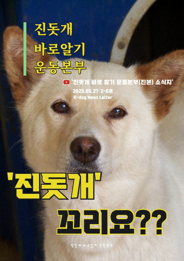  진돗개 꼬리 이걸로 정리한다