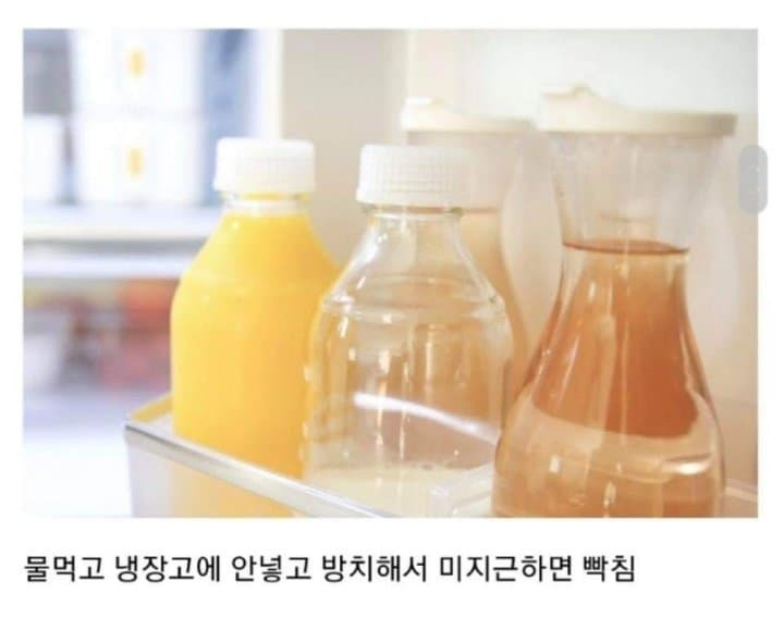 찬물 좋아하는사람 특징 | 인스티즈