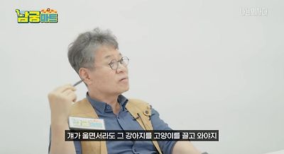 만약 며느리가 키우던 고양이를 결혼하면서 데려오지 않는다면 | 인스티즈