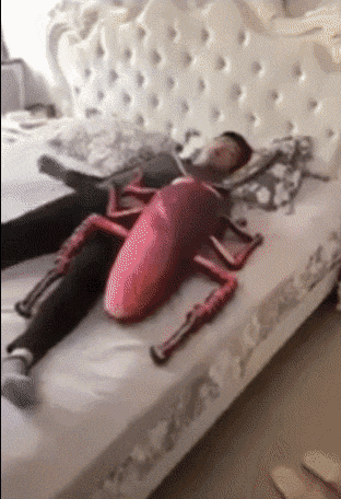  이런 장난친 사람이랑 손절 한다vs안 한다1