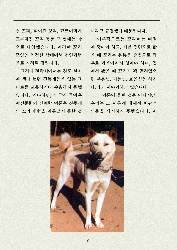 진돗개 꼬리 이걸로 정리한다 | 인스티즈