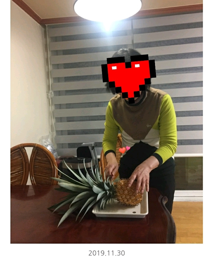 한 아저씨 블로거의 집에서 파인애플 키우기 (뭔가 힐링되는 기분임) | 인스티즈