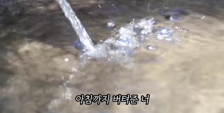 반려묘를 떠나보낸 유튜버가 올린 영상 | 인스티즈