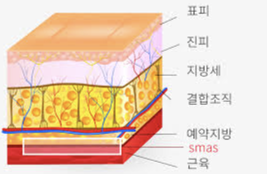 피부과 의사들이 뷰티 디바이스를 후려치는 이유 | 인스티즈
