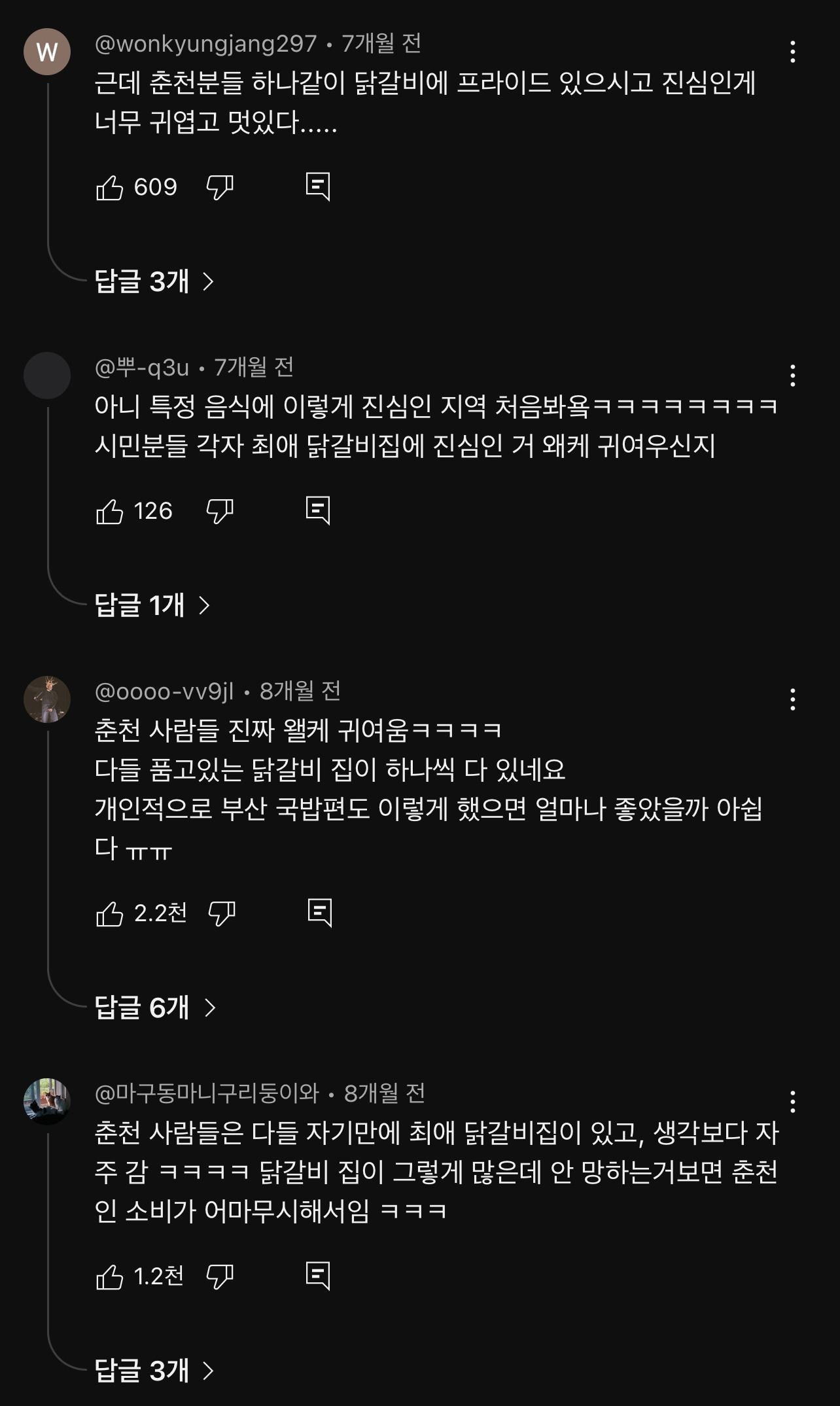 각자 품고 있는 닭갈비집이 있는 춘천 사람들 | 인스티즈