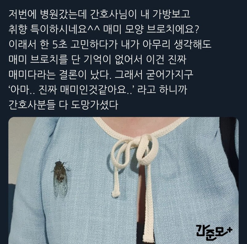  환자의 힙한 브로치가 맘에 들었던 간호사1