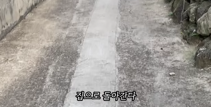 반려묘를 떠나보낸 유튜버가 올린 영상 | 인스티즈