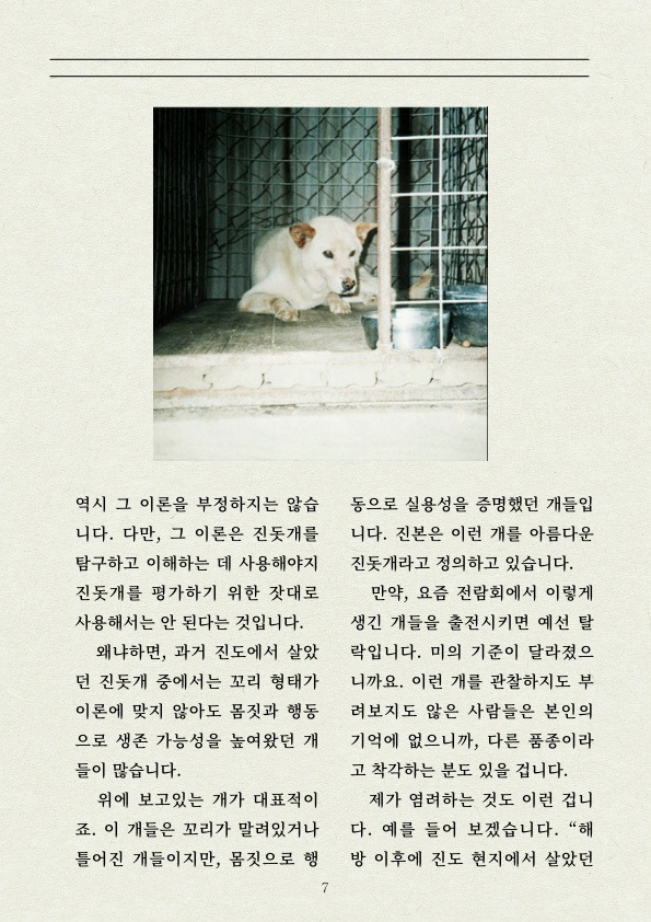 진돗개 꼬리 이걸로 정리한다 | 인스티즈