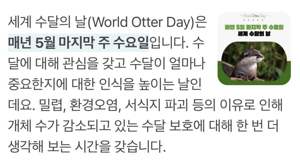  5월 마지막 주 수요일은 무슨 날인가요?? 🦦