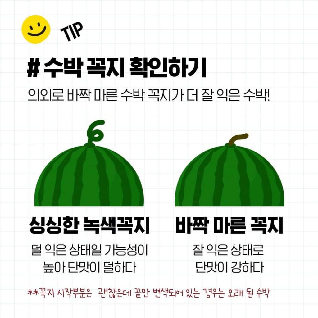 꿀수박 고르는 법 & 보관법 | 인스티즈