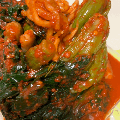 여수 먹거리 1티어 | 인스티즈