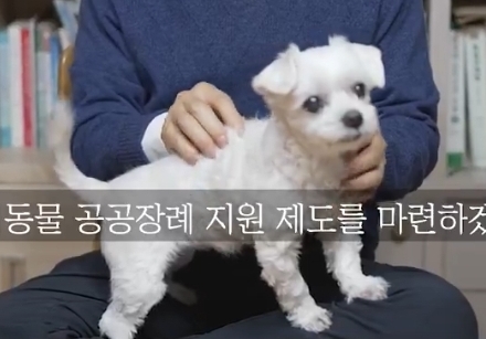 권영국 강아지 졸라 기엽다 | 인스티즈
